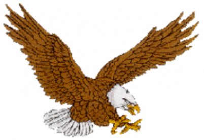 Old Cats U16 tested to the limit by Effingham & Leatherhead