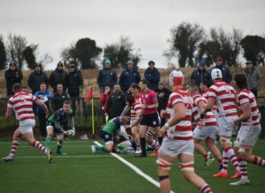 1XV Match Report - Nenagh Ormond - 15 Nov 25
