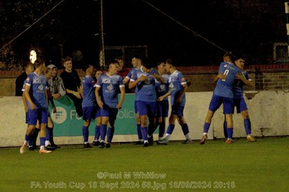 SCHOLARS | Watering the Roots