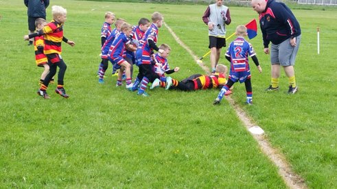 Pilkington Recs V Banks Quay Bulls