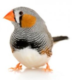 New season, new name!