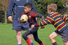 Junior & Mini Information Page
