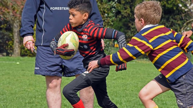 Junior & Mini Information Page