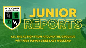 Junior Reports