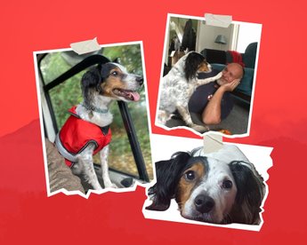 Farewell to little Rocky