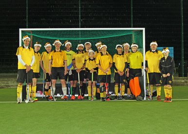 Unofficial Fledglings Awards 2015-16 The "UFAS"