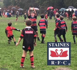 Harlequins U11 and U12 Land Rover Cup Festival