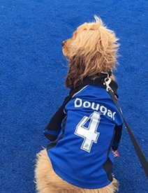 Pre-season THC Kit - the order deadline by 9th July 2018