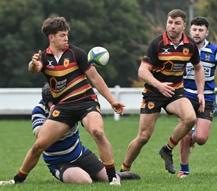 Harrogate start to hit their stride putting 8 tries past Driffield at home.