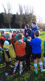 When a Lion met the Warriors