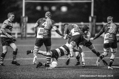 Havant calm in the storm as they produce vital win over Quins