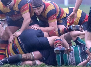 Harrogate vs Lymm