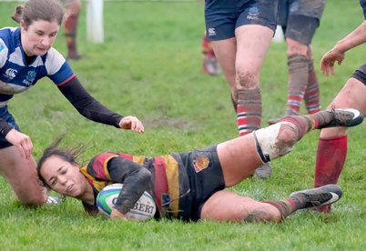 Harrogate back on their winning streak with a 62-0 success over visiting Sheffield