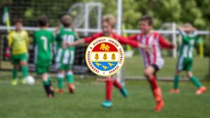 Offices Vacant Crowborough District Junior Football League
