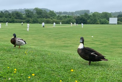 Napton CC v Southam CC