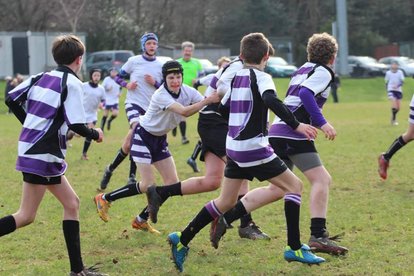 Sharks humbled by good Woodford team