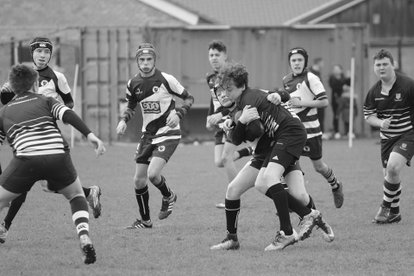 Super Second Half Comeback from Sharks